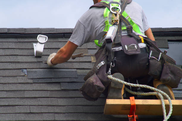 Best Roof Restoration Services  in Roanoke, IL