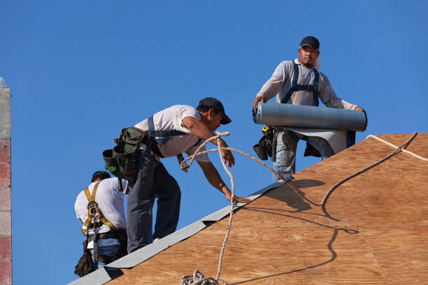 Best Roof Leak Repair  in Roanoke, IL