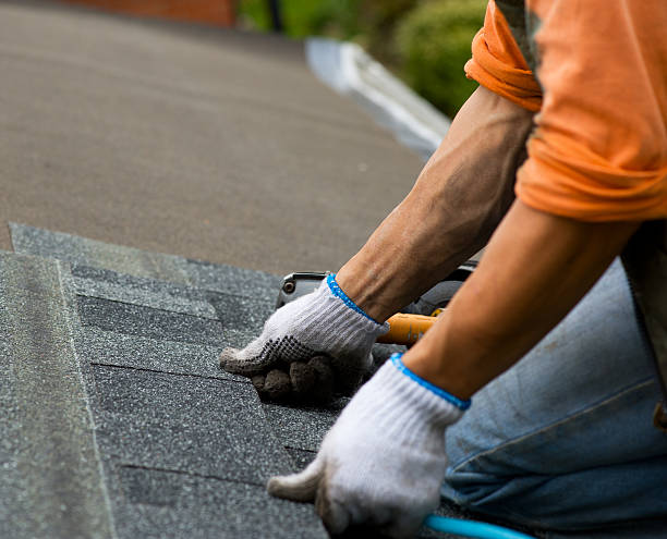 Best Affordable Roofing Company  in Roanoke, IL