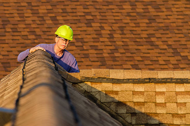 Best Roof Inspection Near Me  in Roanoke, IL