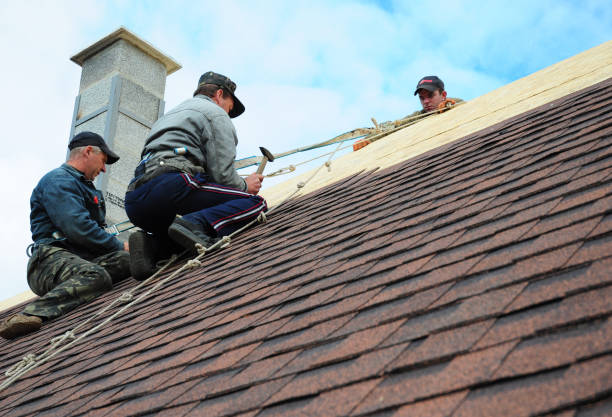 Best New Roof Installation  in Roanoke, IL