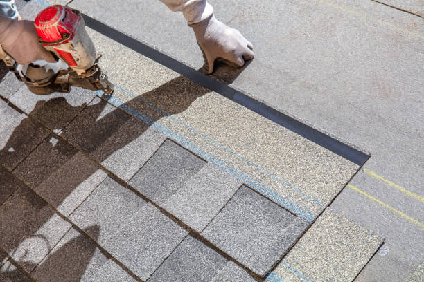 Best Local Roofing Companies  in Roanoke, IL